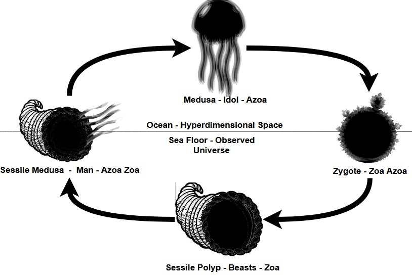 Figure 1: The Life Cycle of Jellyfish and Man