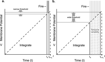 Figure 3: Expected vs Observed relationship between integration and firing